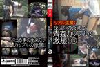 [DVD]リアル盗撮!夜(昼)の公園で青姦カップルを激撮!!